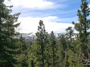 Big Bear Home for Sale - 1117 Nana