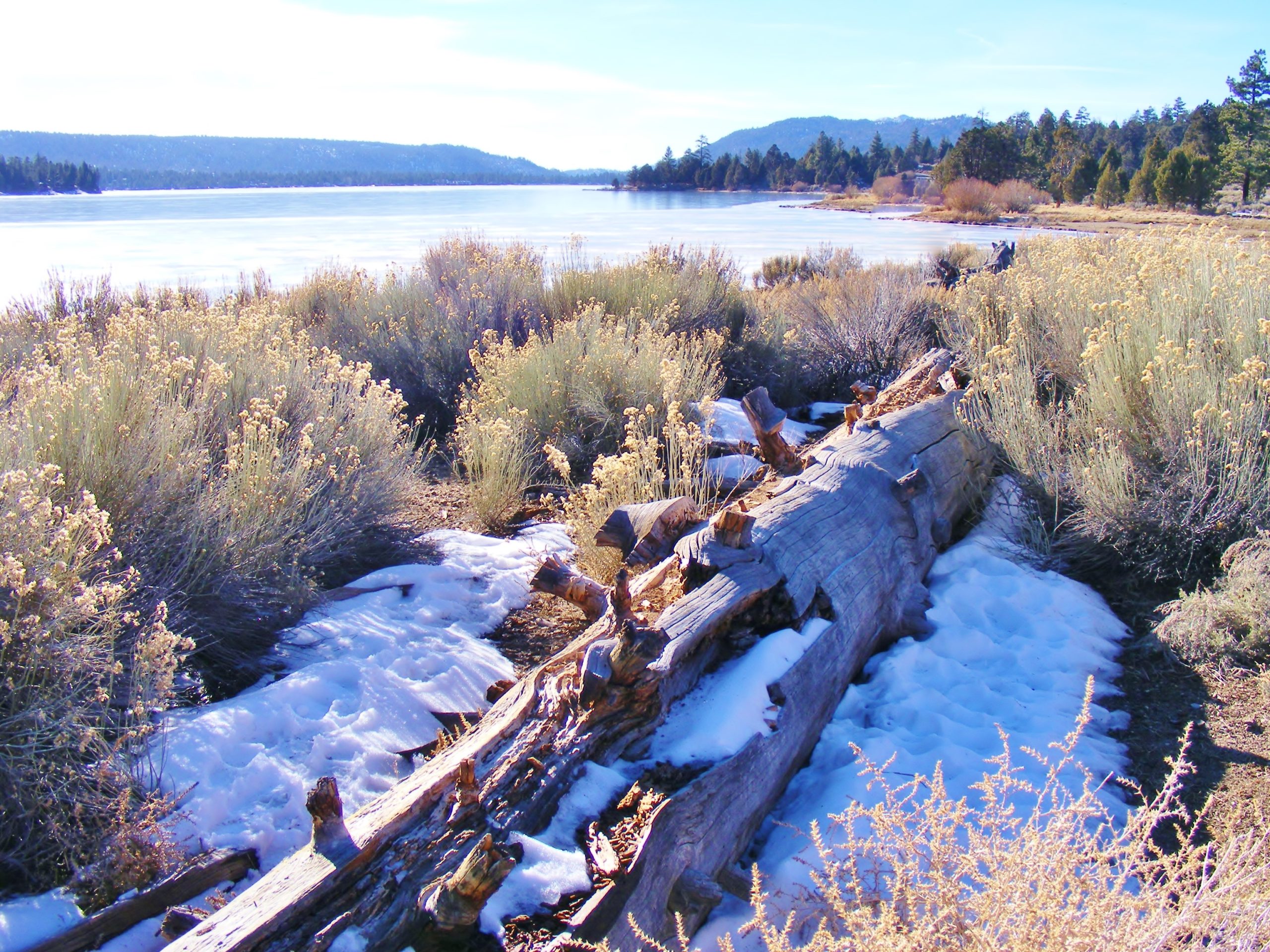 A fallen log in snow with Big Bear Lake in the background.